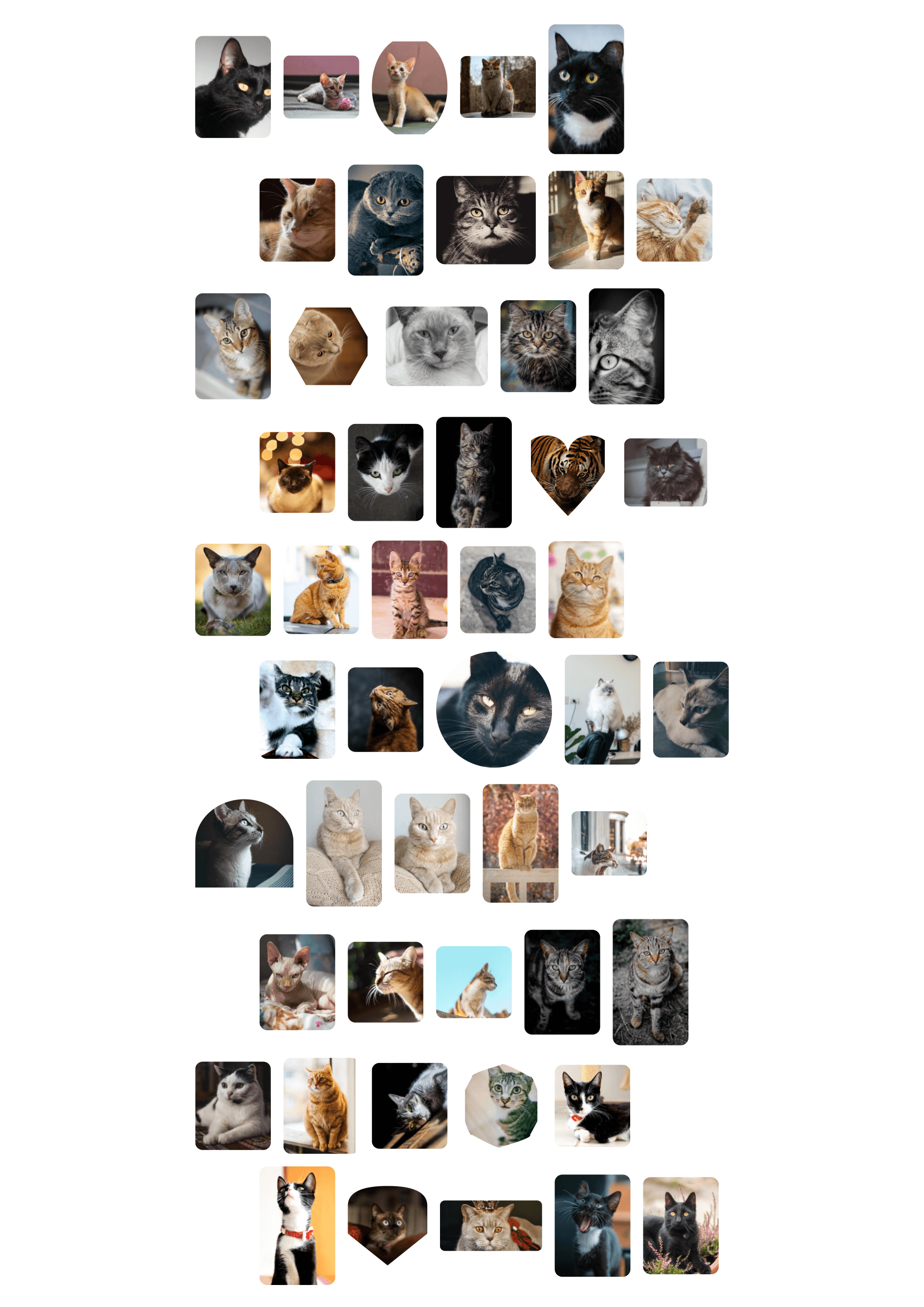 Brick layout with mixed shapes — cats in circles, hearts, squares, hexagons, ovals, and arches in offset rows