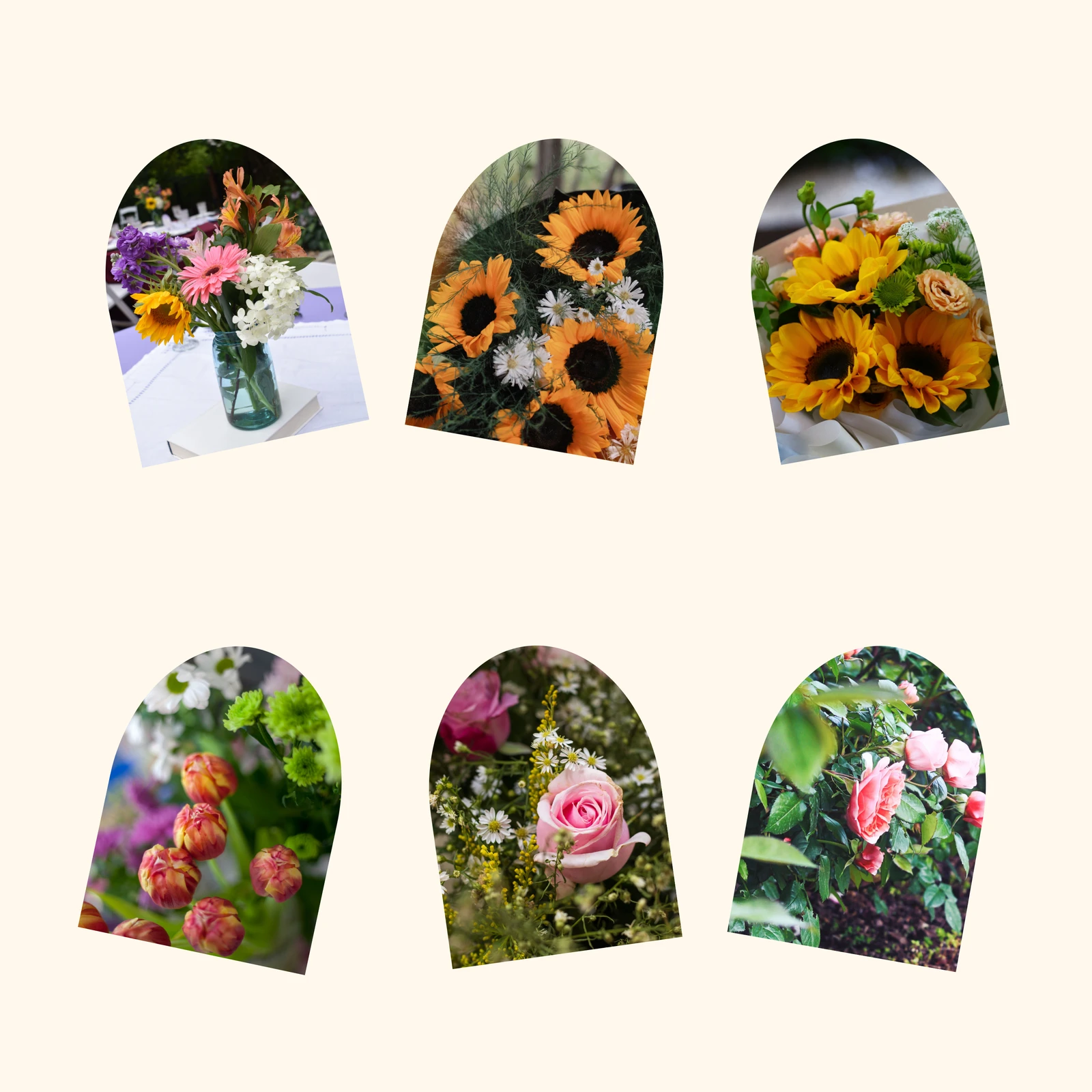 Six flower photographs in gently tilted archway frames arranged in two rows on a warm cream square page